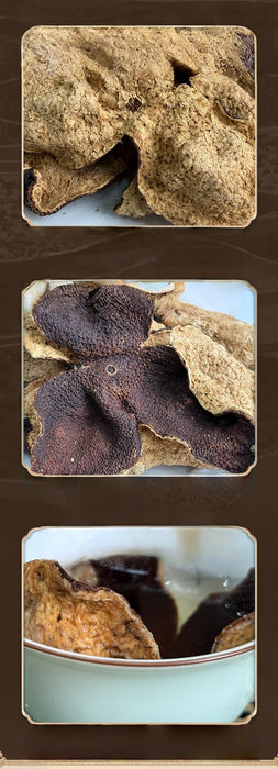 Dried tangerine peel (Chenpi)